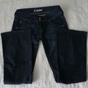 Hudson dark wash wide leg low rise.